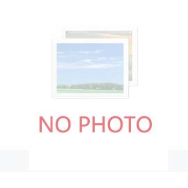 2025具身智能機(jī)器人十大發(fā)展趨勢發(fā)布